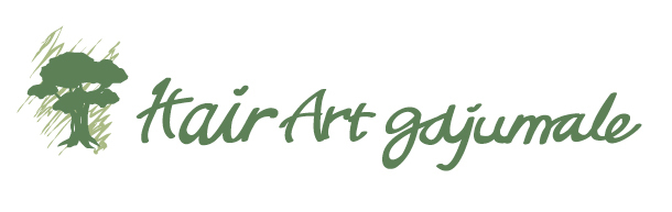 Hair Art gajumale